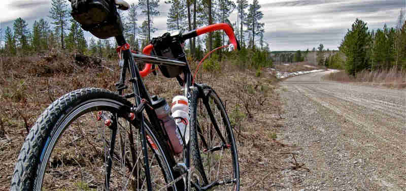 Rear view of a Surly Cross Check bike, facing down a gravel road, with pine trees in the background