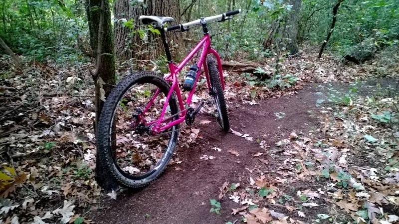 Rear, right side view of a pink Surly bike, parked on a dirt trail in the woods