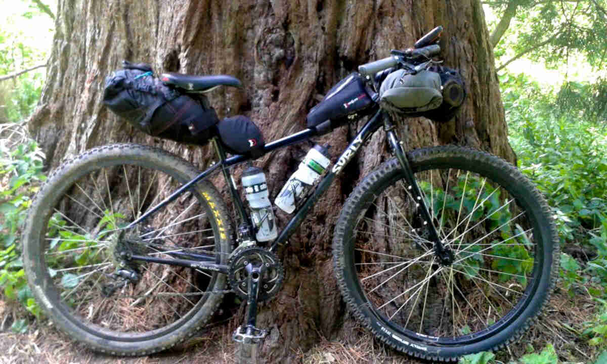 Right side view of a black Surly Ogre bike with gear packs, parked at the base of a large tree in the woods