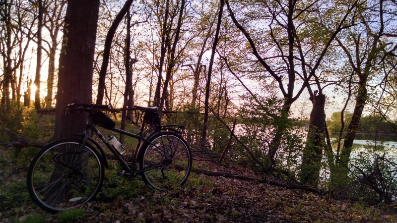 Left side view of a Surly Ogre bike, parked against a tree, on leaves, with trees and a lake in the background