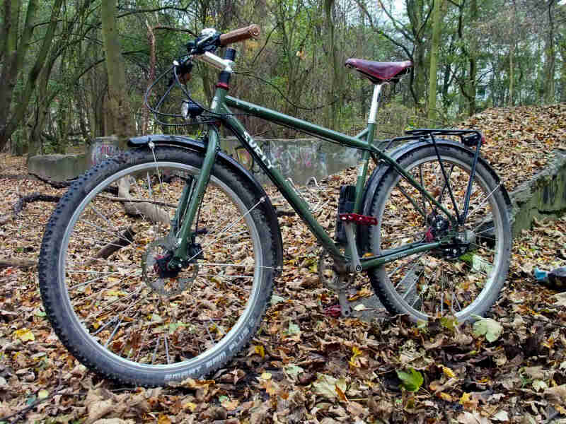 Left side view of a green Surly Ogre bike, parked on leaves, with a forest in the background