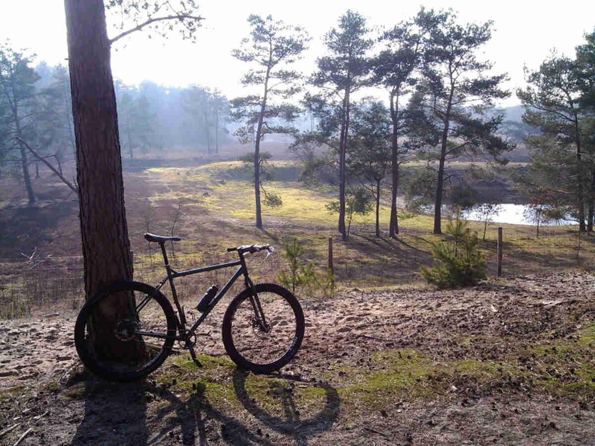 Right side view of a Surly Ogre bike, parked against a tree in a field
