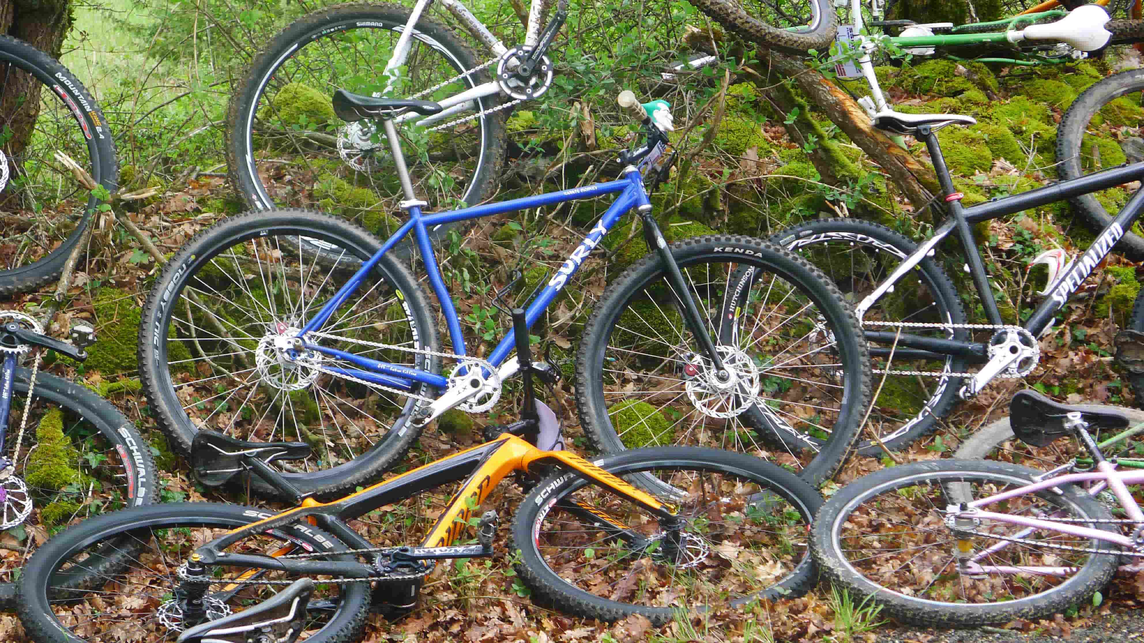 Right side view of a blue Surly Karate Monkey bike, leaning on a grass bank in the woods, with other bikes around it
