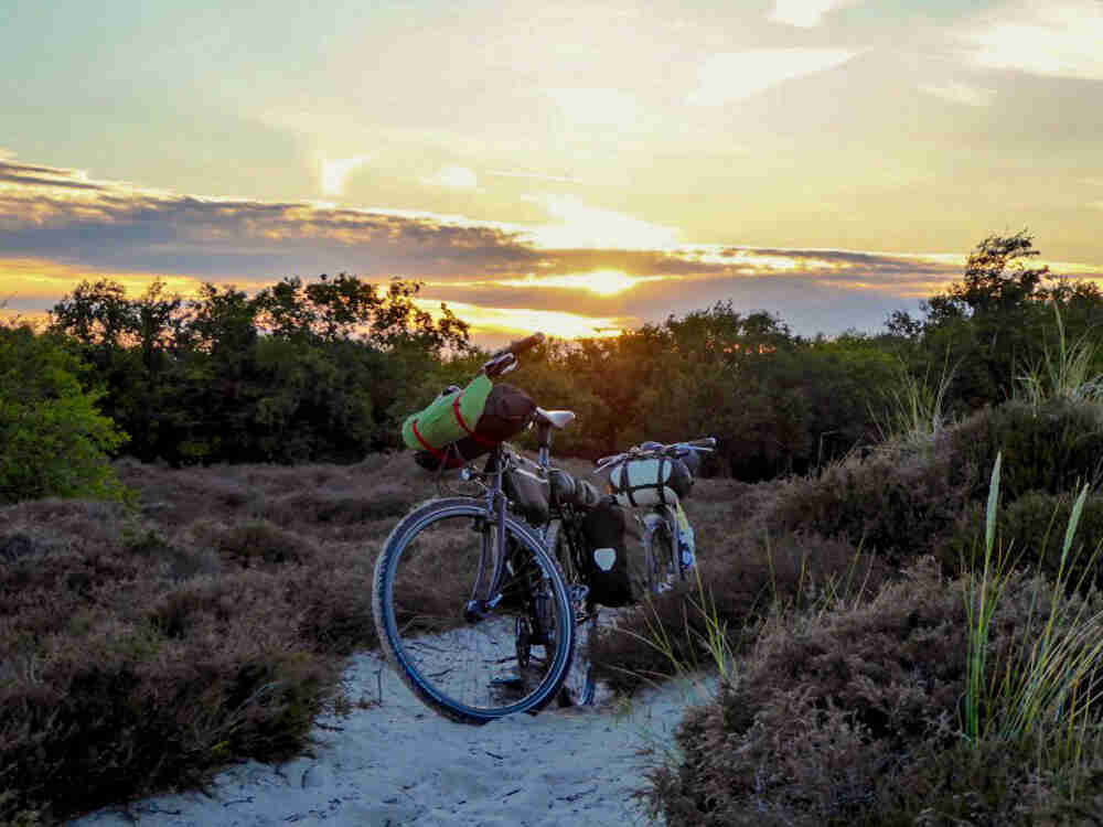 Front view of 2 bikes loaded with gear, parked on a white sand trail in a weedy field, with the sun on the horizon