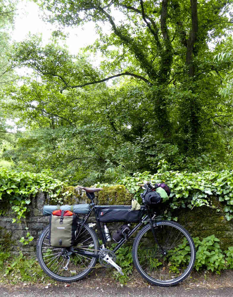 Right side view of a black bike, loaded with gear packs and water bottles, leaning on a stone wall, with trees behind