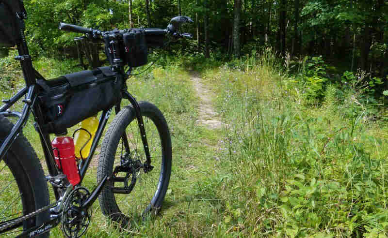 Rear view of a Surly bike, with gear, facing down a grassy dirt trail leading into the woods