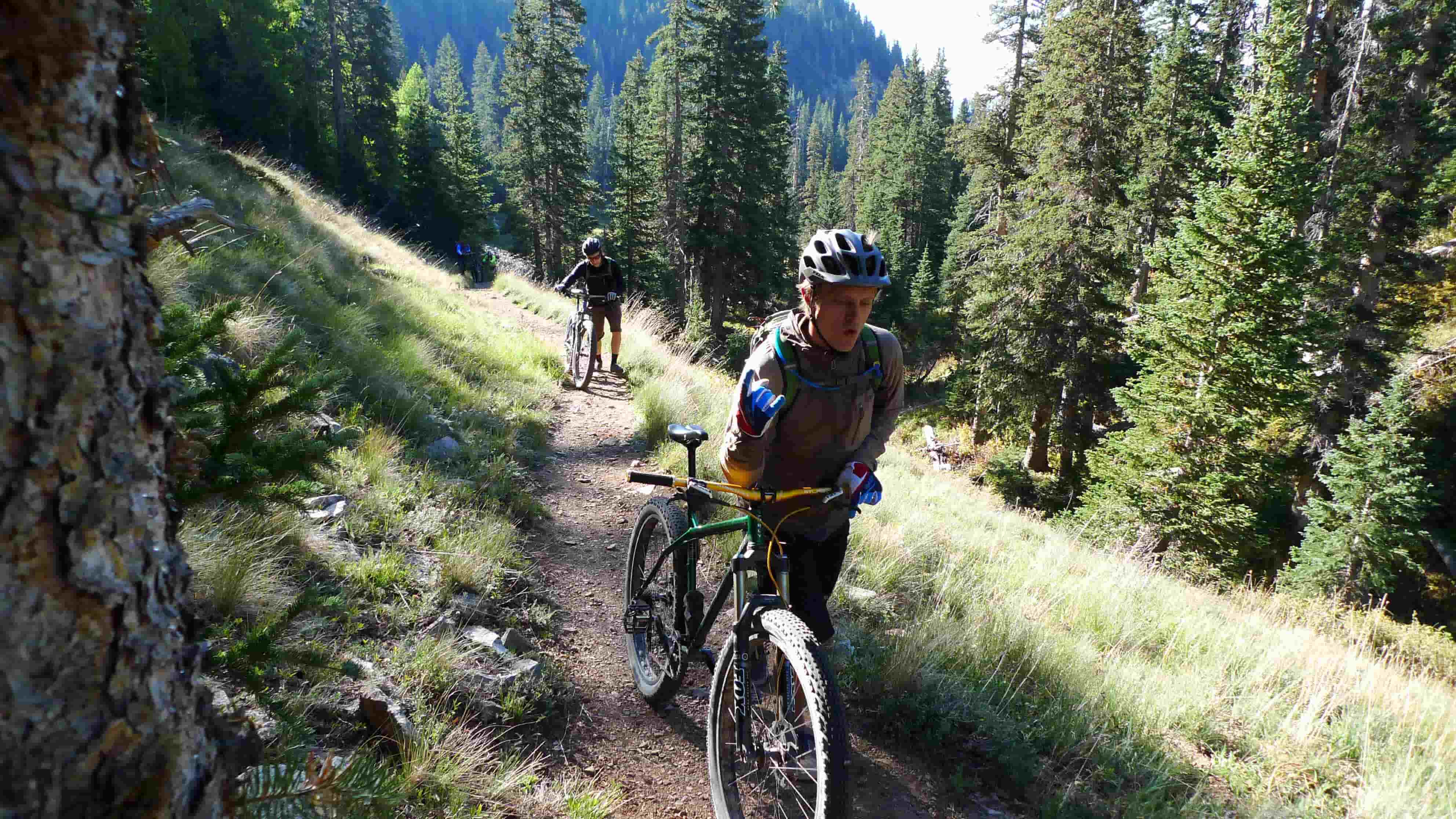 Front, right side view of 2 cyclists, walking their Surly bikes on a dirt trail, up a tree covered mountain hill