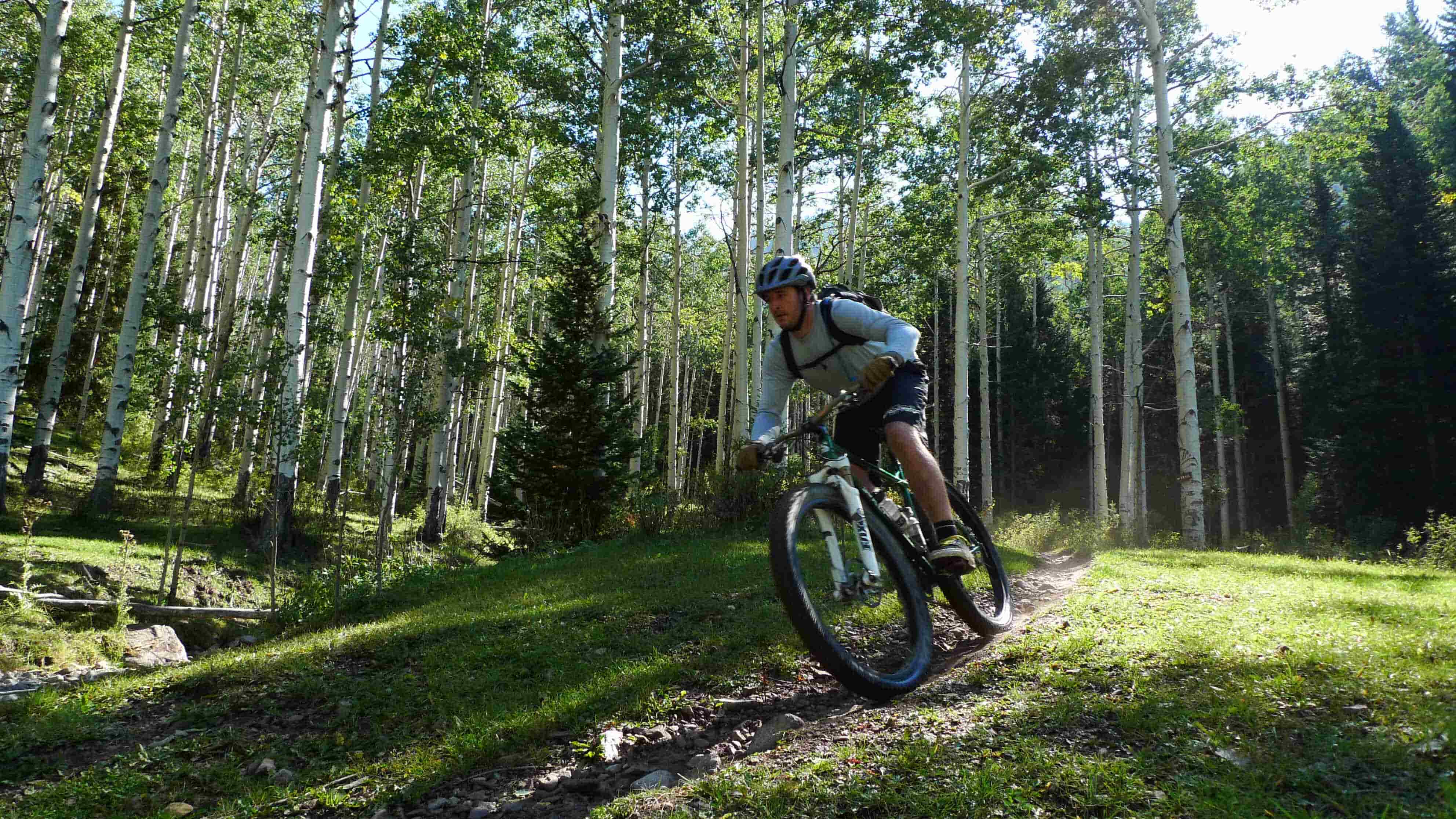Front, left side view of a cyclist, riding a Surly bike on a dirt trail, in a grassy clearing in a forest