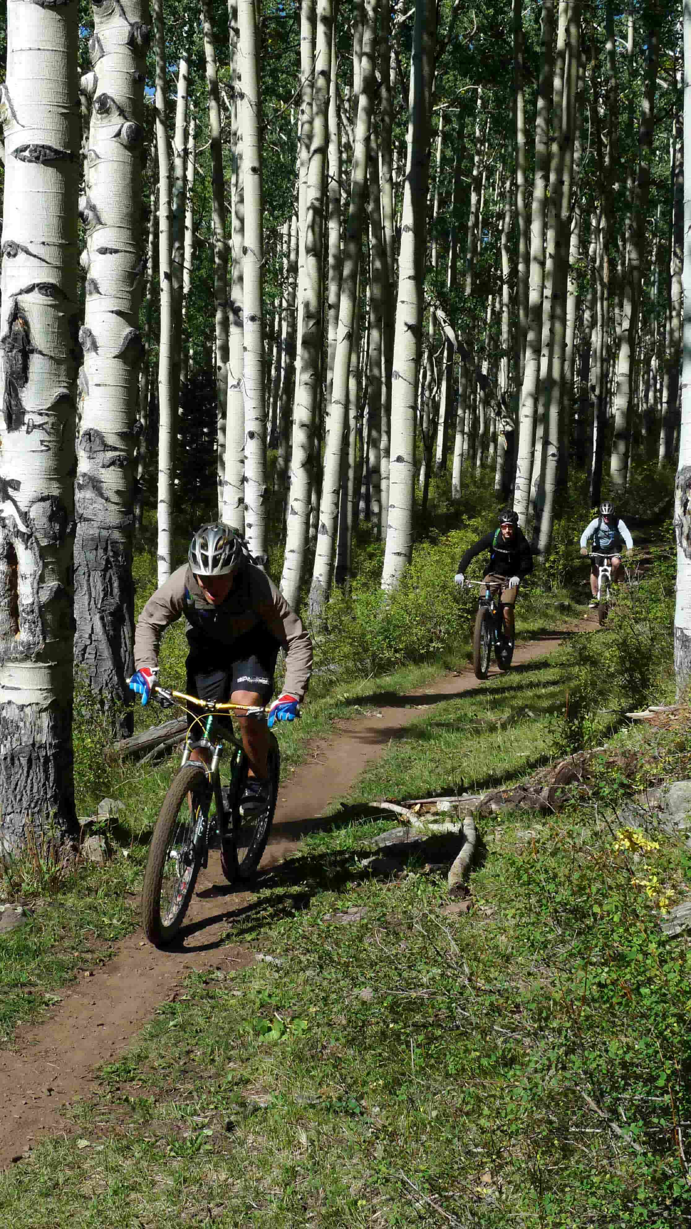 Front, left side view of 3 cyclists, riding their Surly bikes single filed, up an incline on a dirt trail in the forest