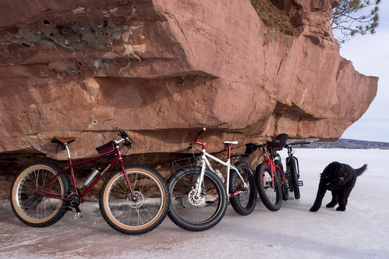 Surly bikes lined up under an overhanging rock on a frozen lakeshore, next to a black dog