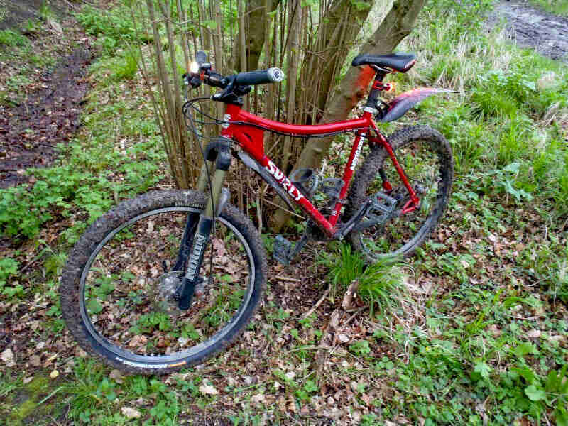Left side view of a red Surly Instigator bike, parked in leaves and weeds, with a stream in the background