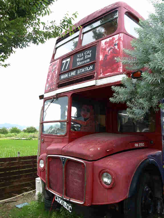 Front view of a red, inoperable double decker bus, parked in grass next to a tree 