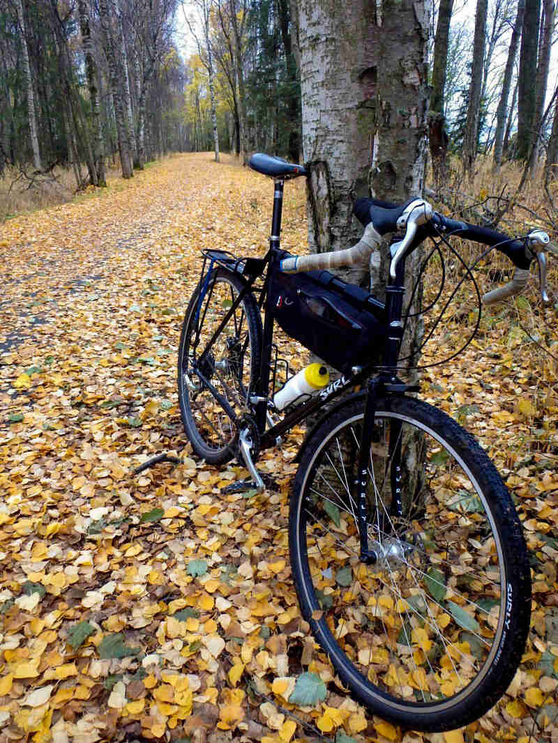 Front view of a Surly bike, black, parked on yellow leaves, on the side of a leaf covered road in the woods