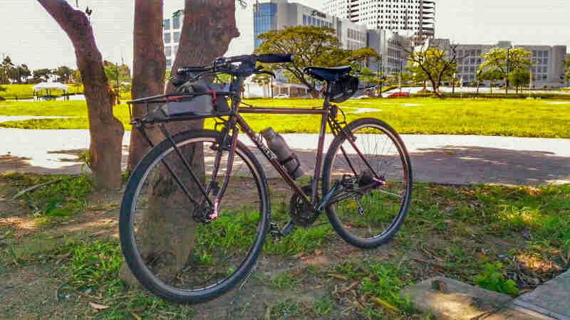 Front left side view of a Surly bike, leaning against a tree, with city buildings in the background