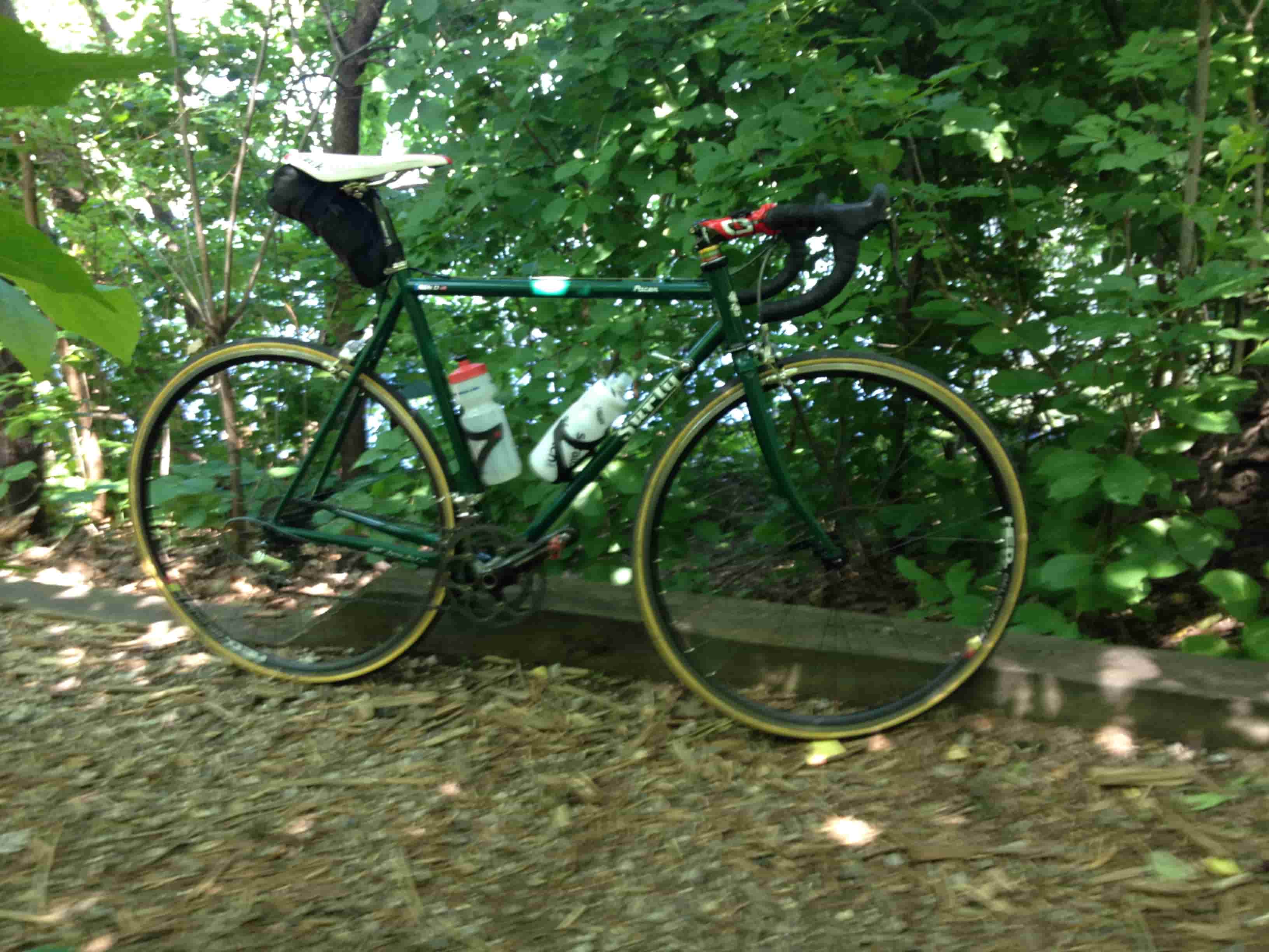 Right side view of a green Surly Pacer bike, parked in front of tall green bushes