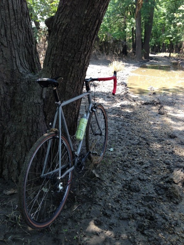 Rear view of a gray Surly Pacer bike, leaning on the base of a tree, next to a wet, muddy road