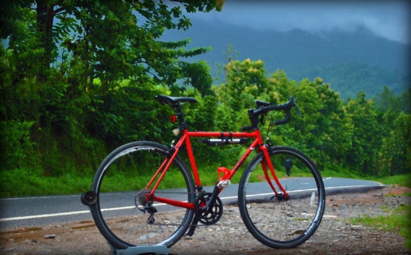 Right side view of a red Surly bike, parked next to a paved road, with trees and foggy hills in the background