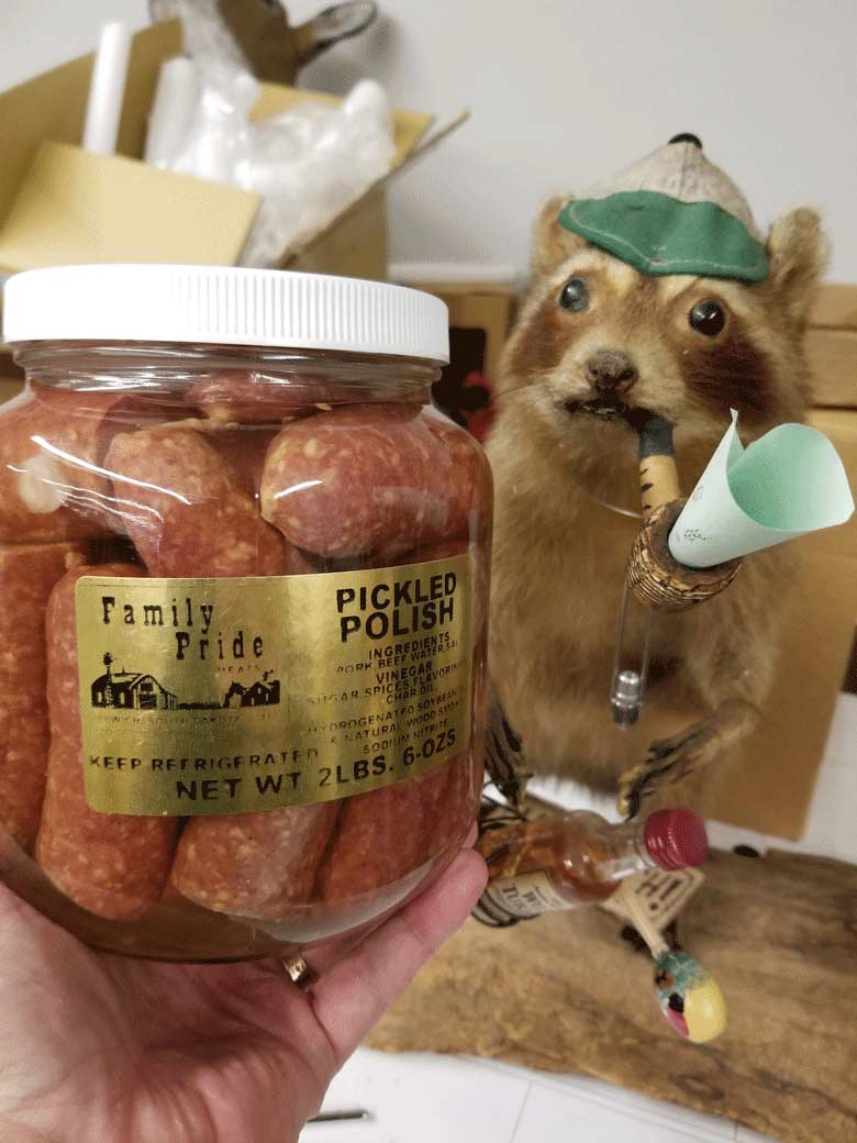 Hand holding jar of pickled polish sausage with small taxidermied raccoon in a cap and corn cob pipe in mouth aside jar