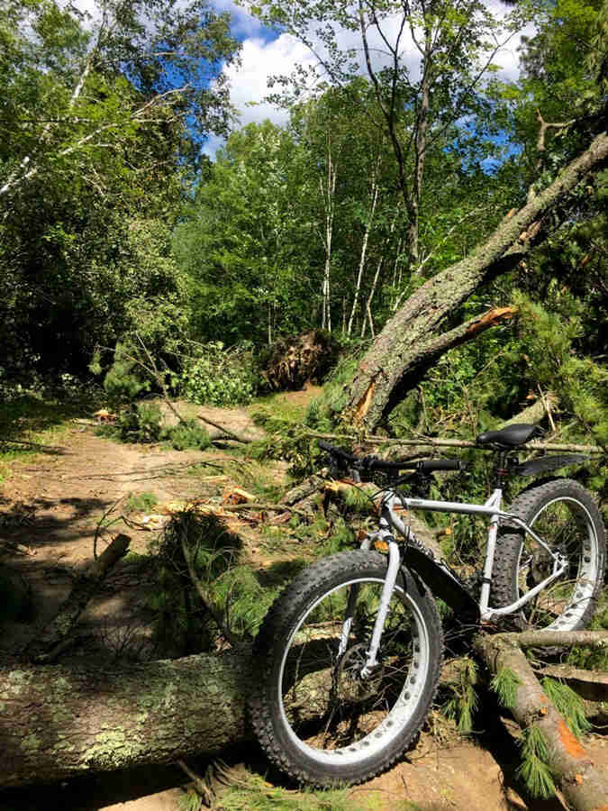 Front left view of a Surly Pug Ops bike, gray, on top of a downed tree laying across a gravel road in the forest