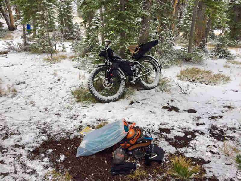 Left side view of a Surly Pugsley bike, loaded with gear, in a snow forest