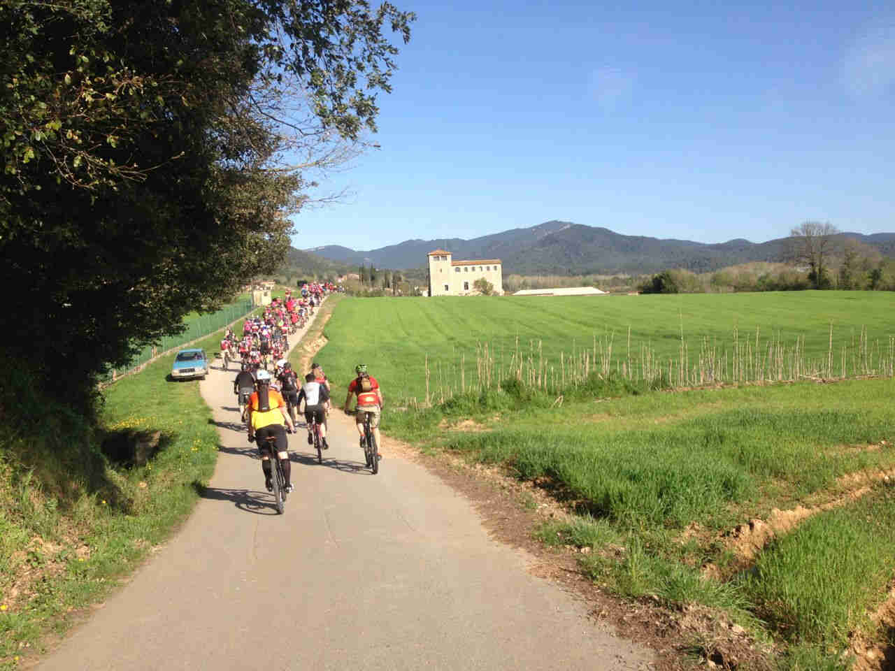 Rear, straight-away view of a group of cyclists, riding down a paved road next to a grass field, towards the mountains