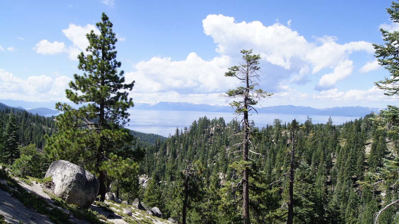 A mountain valley covered with pine trees, with blue sky and white clouds above