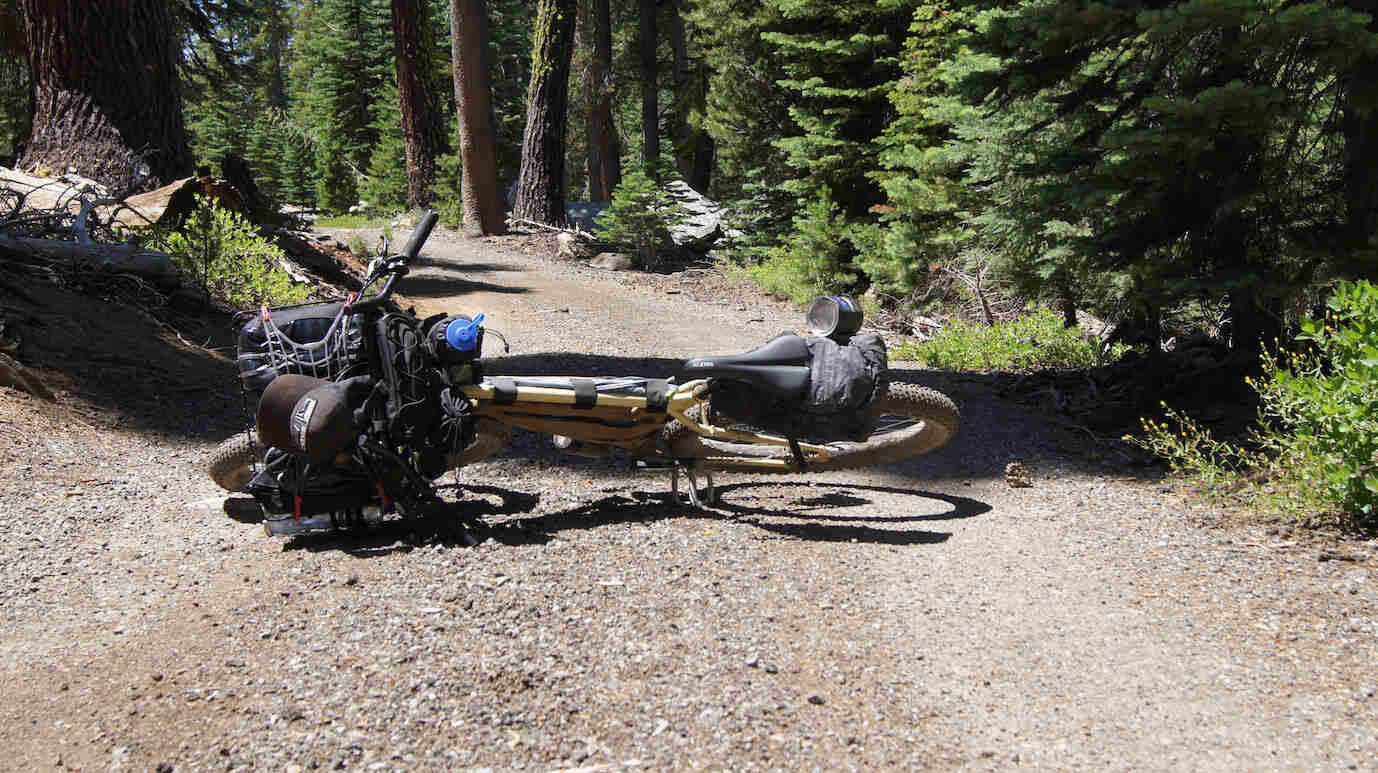A Surly bike laying across a dirt trail in a pine forest