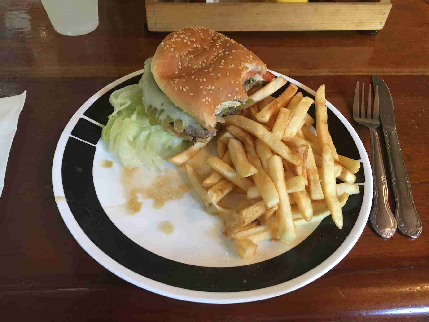 Downward view of a plate with a burger and fries on a table
