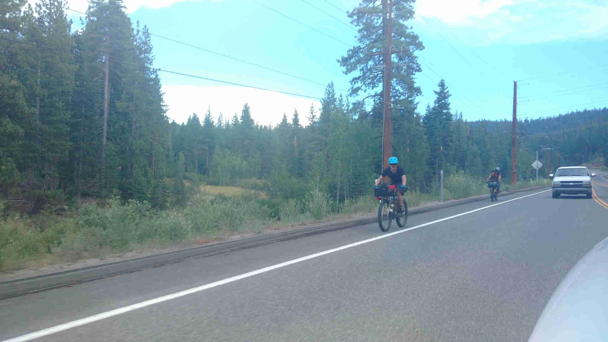 Cyclists riding on the shoulder of a paved road, with pine trees in the background