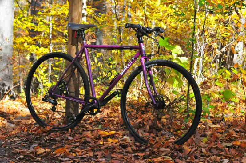 Right side view of a purple Surly bike, parked against a post in a leafy clearing of the woods with changing leaves