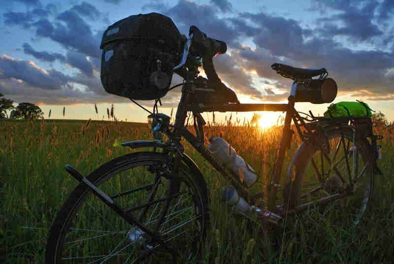 Left side view of a Surly Long Haul Trucker bike, parked in field of tall grass, with the sun on horizon