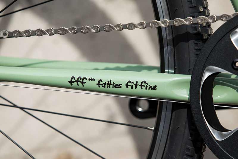 Close-up view of drive-side chainstay on mint colored Surly bike showing fff tm - fatties fit fine decal