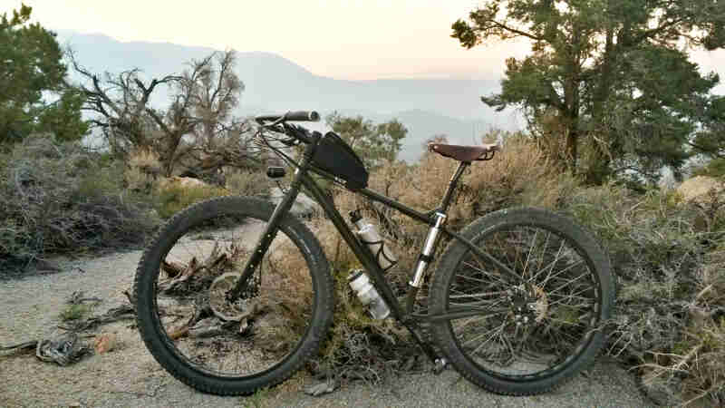 Left side view of a green Surly ECR bike, parked in front of desert brush, with trees and mountains in the background