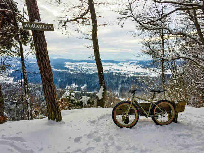 Left side view of a Surly fat bike in the snow, leaning on a park bench, overlooking a mountain valley with pine trees
