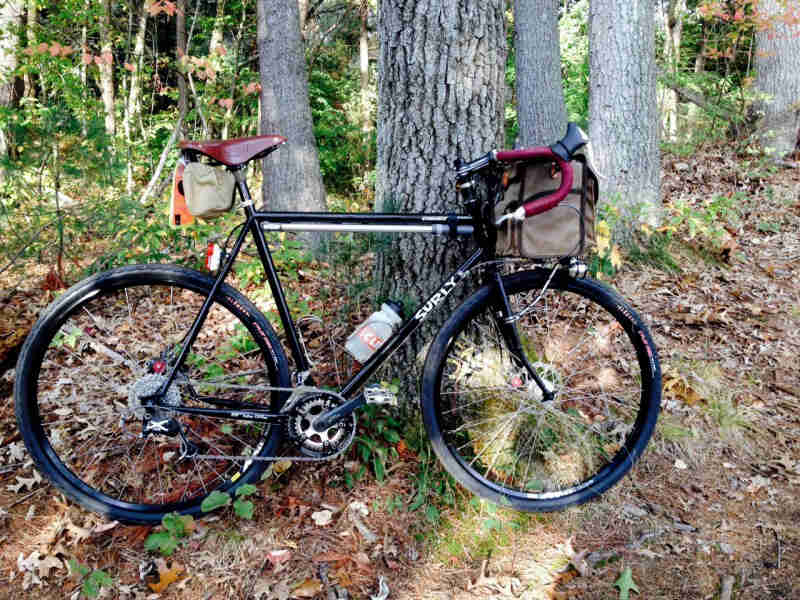 Right profile of a Surly Straggler bike, black, parked on leaves, in front of a tree, in a forest