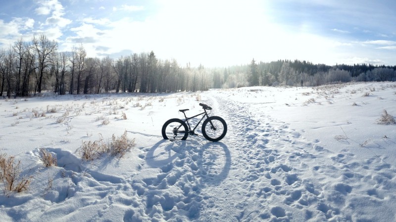 Right side view of a Surly Pugsley fat bike, parked across a trail on a snow covered field, with trees in the background