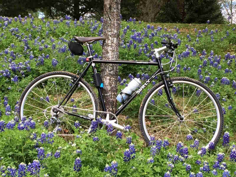 Right side view of a black Surly Cross Check bike, parked against a tree on a small hill covered by blue bonnet flowers