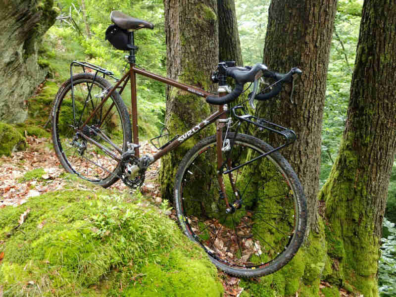 Right side view of a brown Surly Cross Check bike, parked in front of a cluster of trees in a forest