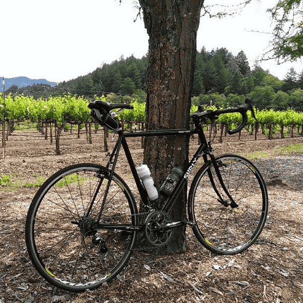 Right side view of a black Surly Cross Check bike, in front of a tree with a field of small trees in rows, in background