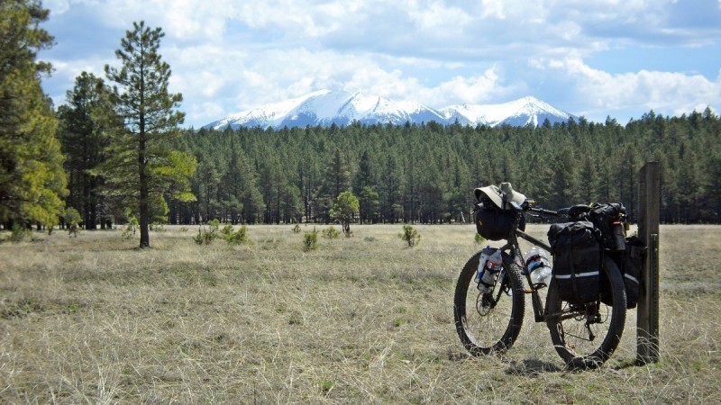 Rear, left side view of a Surly bike with gear, leaning on a post in a field, with pines and mountains in the background