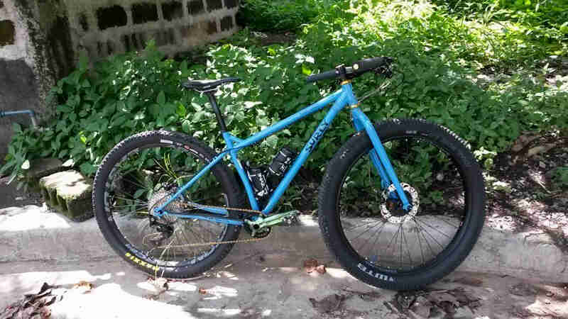 Right side view of a Surly Karate Monkey bike, blue, parked against a curb with weeds in the background