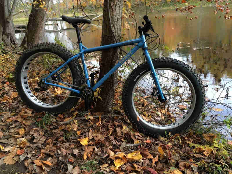 Right side view of a blue Surly Ice Cream Truck fat bike, leaning against a tree on a leafy bank of a pond