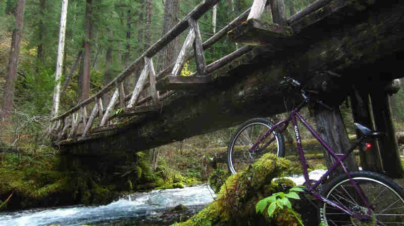 Left side view of a purple Surly Troll bike, parked over a mossy log next to a river, under a log bridge in the forest