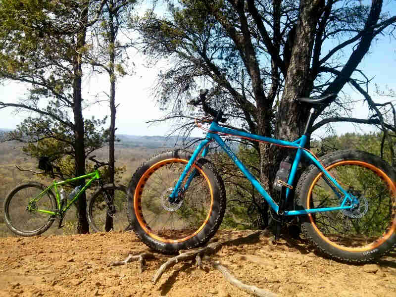 Left side view of a teal Surly Ice Cream Truck fat bike, parked on a dirt hill against a tree, with a green bike behind