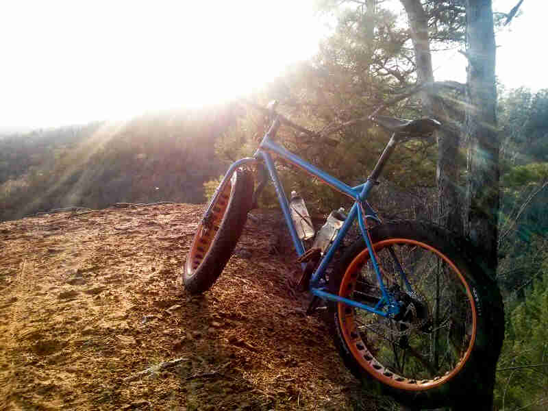Left side view of a blue Surly Ice Cream Truck fat bike, facing upward on a hilltop against trees, with sun rays shining