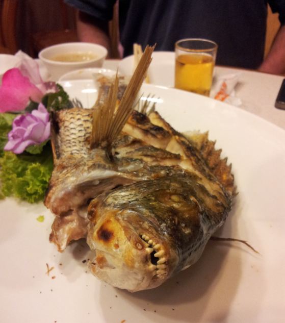 Front view of a fish with sharp teeth, cooked and laying on a white plate, on a table with a person sitting behind it