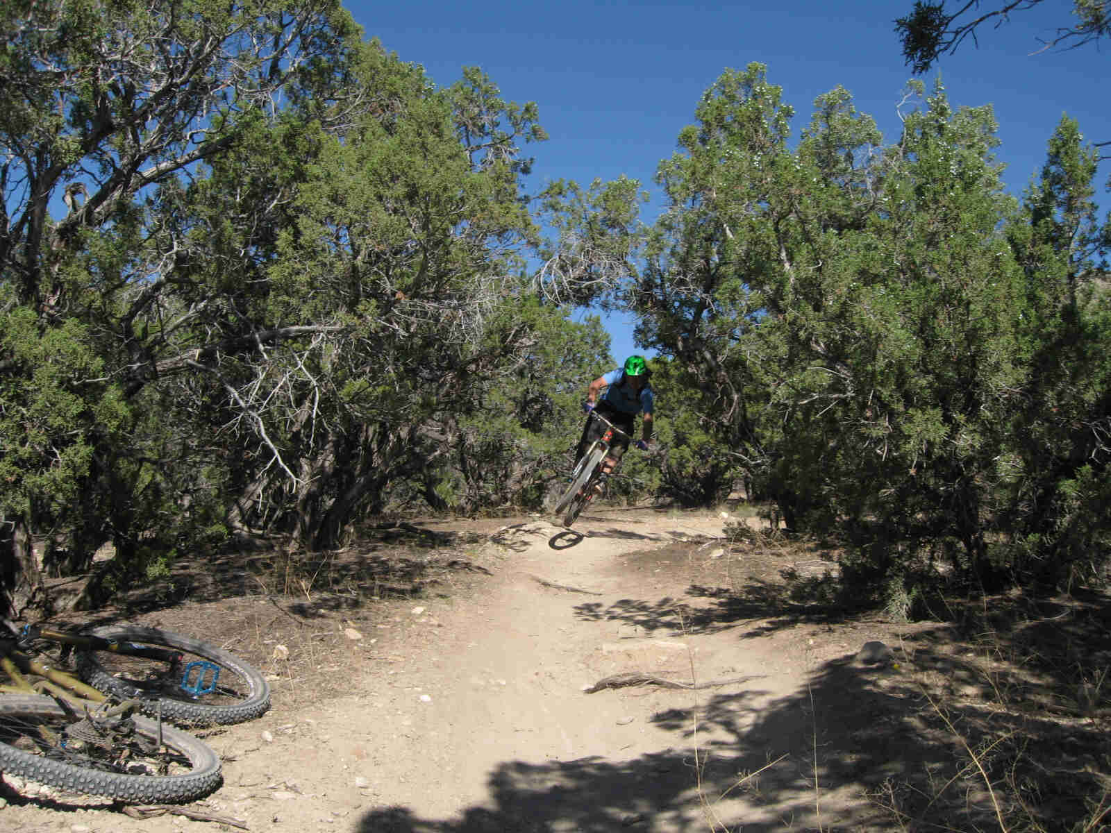 Front view of a cyclist, jumping their Surly bike from a small mound on a dirt trail, with small trees all around