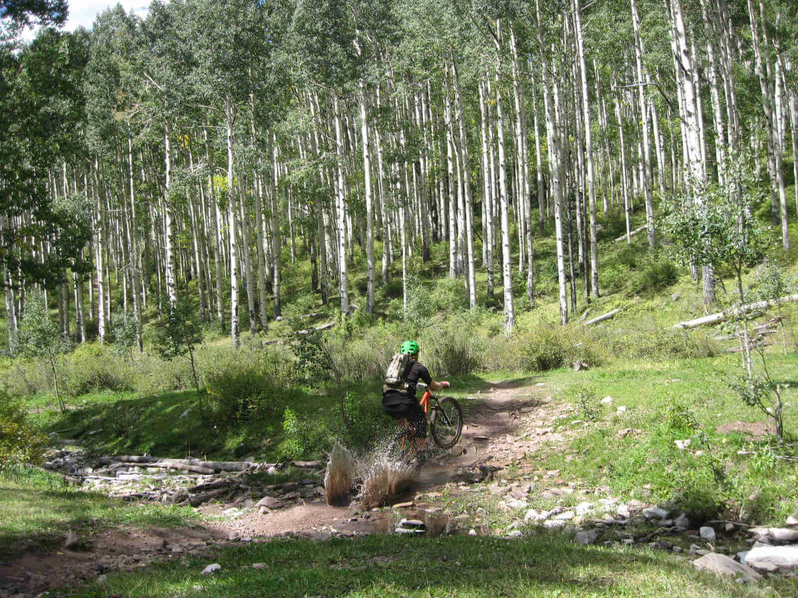 Rear, right side view of a cyclist, riding an orange Surly bike through a small stream, on a rocky trail in a forest