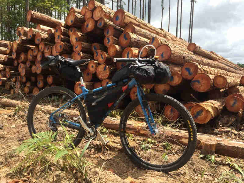 Right side view of a blue Surly bike with packs, parked on dirt, in front of a pile of cut timbers