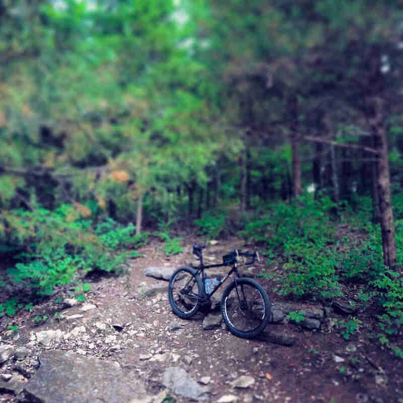 Right side view of a black Surly bike, parked across a rocky trail in the forest